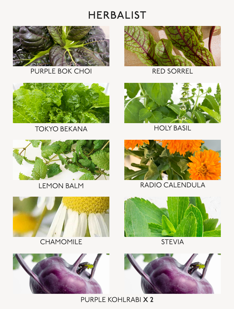 A poster showcasing a variety of vegetables and herbs included in Gardyn's Herbalist Starter Kit, providing a visual guide to different types.