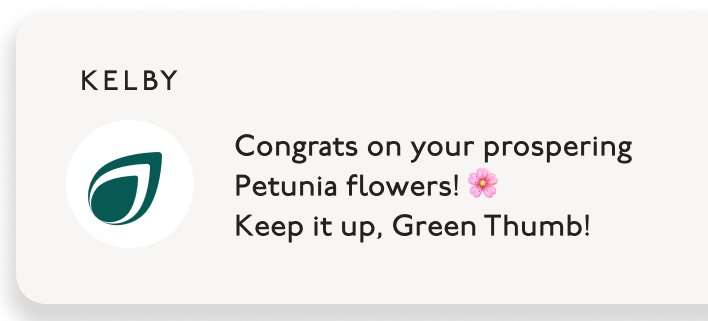 Simulated pop up notification bubble that says "Congrats on your prospering Petunia flowers! 🌸 Keep it up, Green Thumb!"