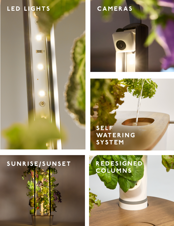 Collage image showing Gardyn Home System features and components. From left to right: LED Lights-shows LED Bar, Cameras-shows camera, Self Watering System feature-shows water poured into Gardyn basin, Sunrise/Sunset feature-shows full Gardyn Home, Redesigned Columns-shows base of column.