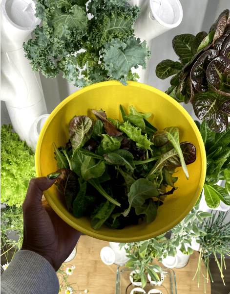 A woman holds a yellow bowl full of greens in front of a Growing Gardyn