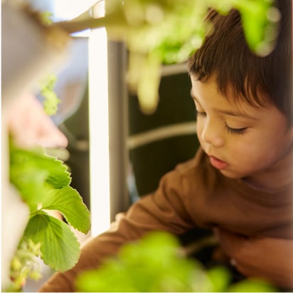 A young boy looks at plants on a Gardyn