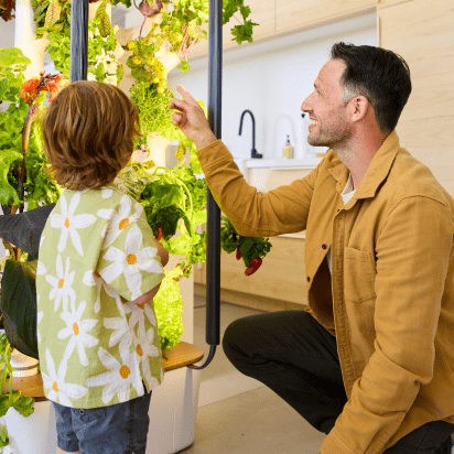 Father and child looking at a Gardyn Home Kit 4.0 in their kitchen. The Father is pointing out one of the plants.