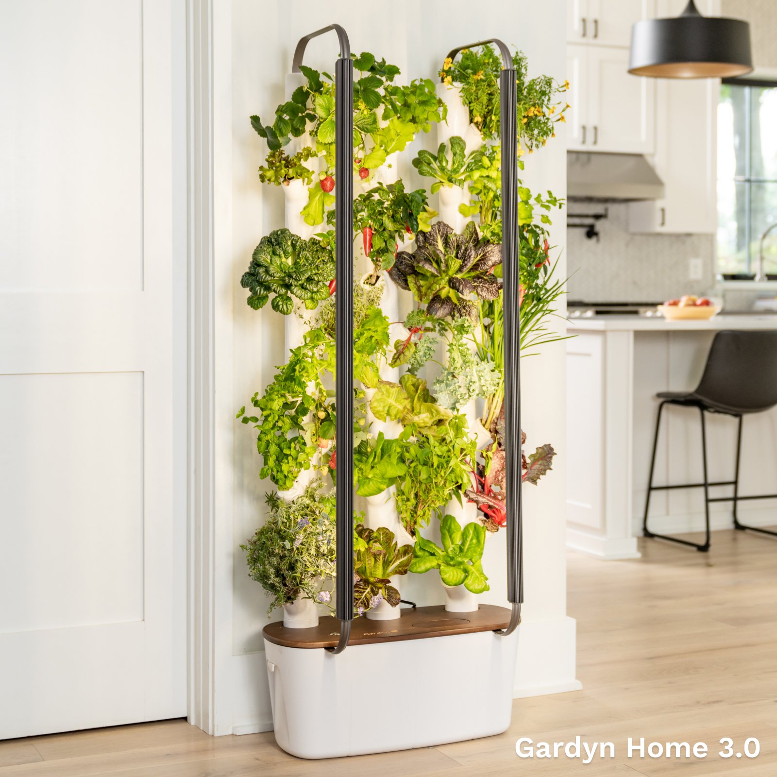 Hydroponic Garden Includes 30 Non-GMO Indoor Plants, Herbs \u0026 Vegetables \u0026  LED Grow Lights For Your Home Indoor Gardening System Plant Trellis Indoor, image size:1600x1600