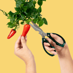 Gardyn Harvest Kit contents - stainless steel scissors, green spray bottle, and cleaning brush