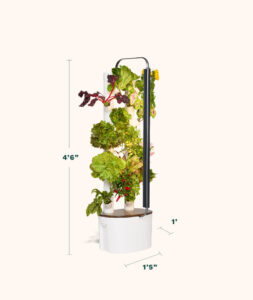 Gardyn Studio 1.0 compact design showing plant columns with fresh produce