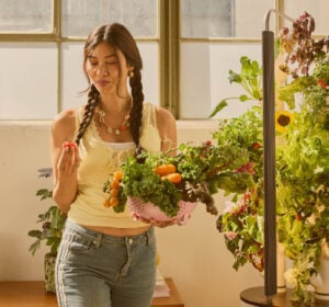 Gardyn Studio 2.0 growing variety of herbs, lettuce, and edible flowers