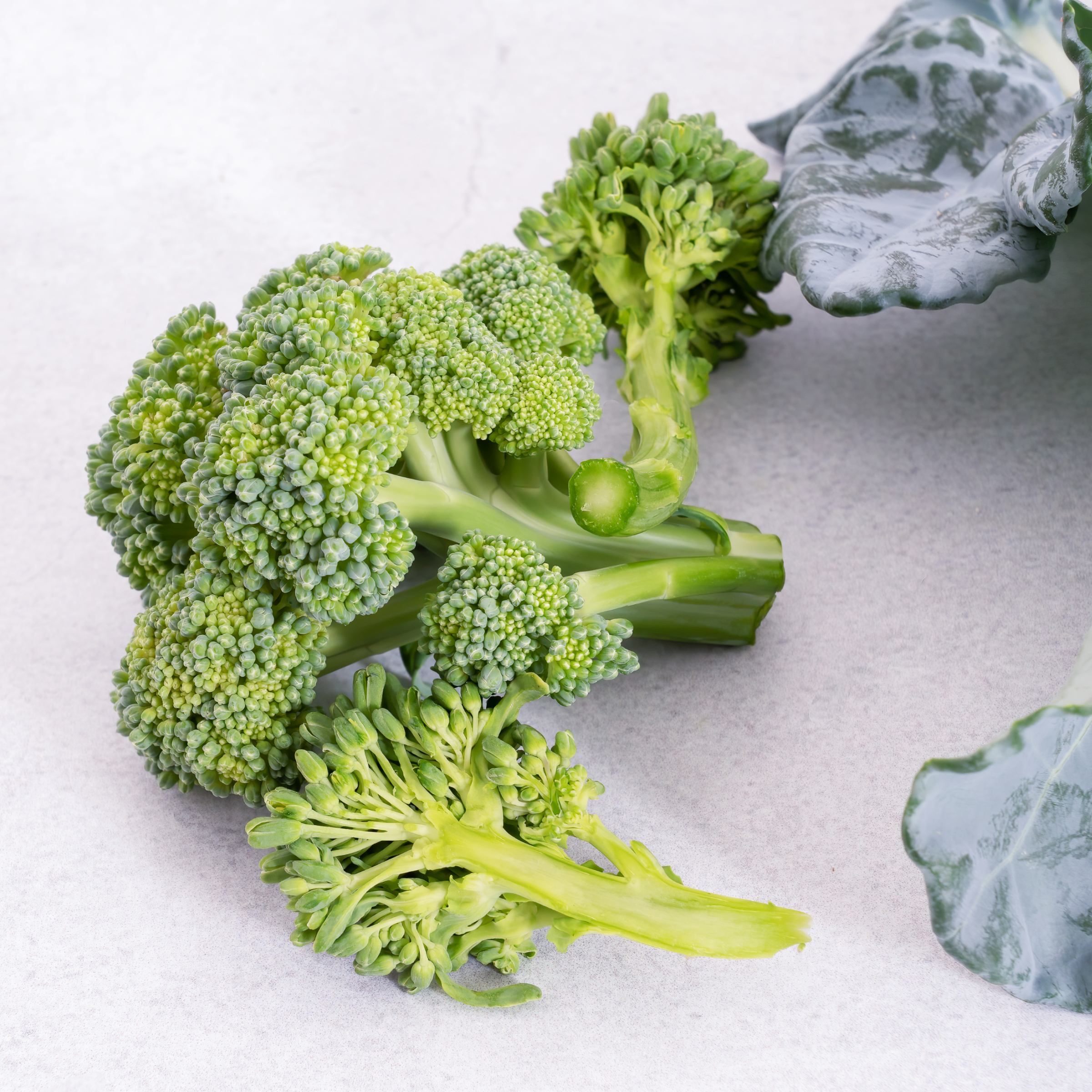 Mini Broccoli yCube - personal-sized broccoli heads
