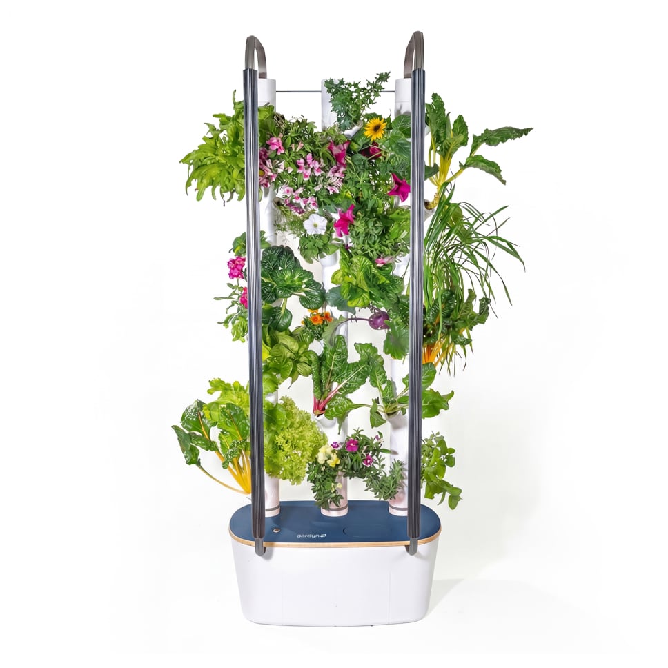 Gardyn Home 4 - Limited Edition Iris