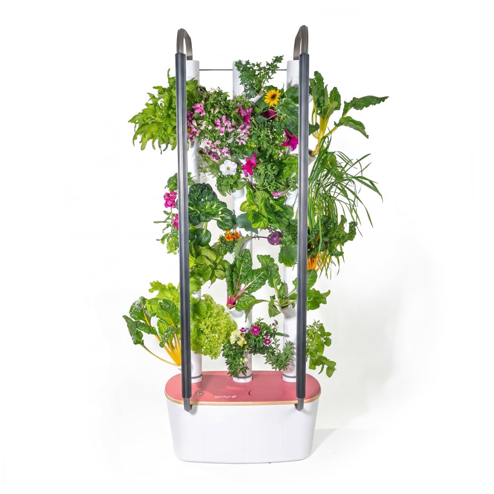 Gardyn Home 4 - Limited Edition Rose