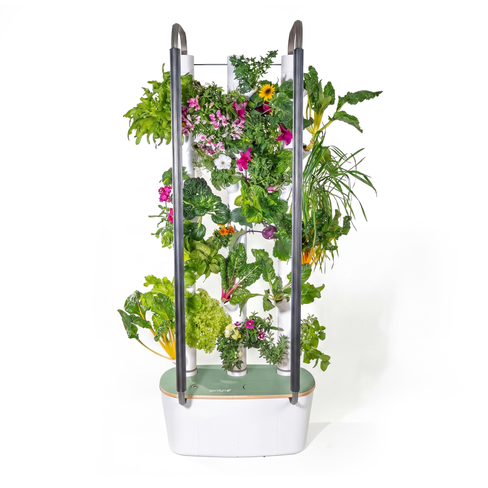 Gardyn Home 4 - Limited Edition Sage