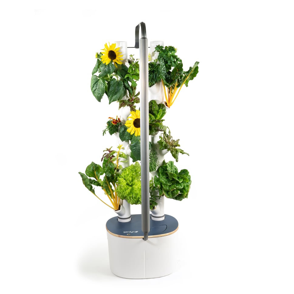 Gardyn Studio 2 - Limited Edition Iris