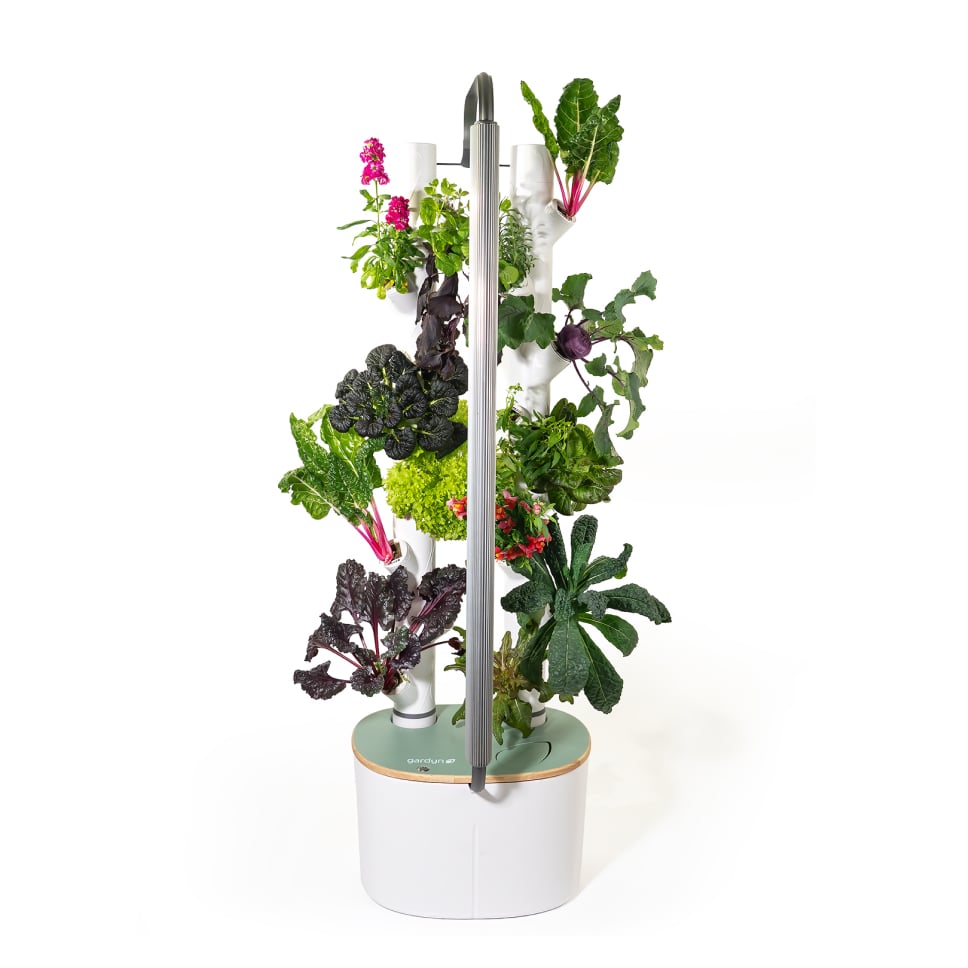 Gardyn Studio 2 - Limited Edition Sage