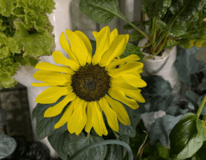 PXL_20260505_141806711